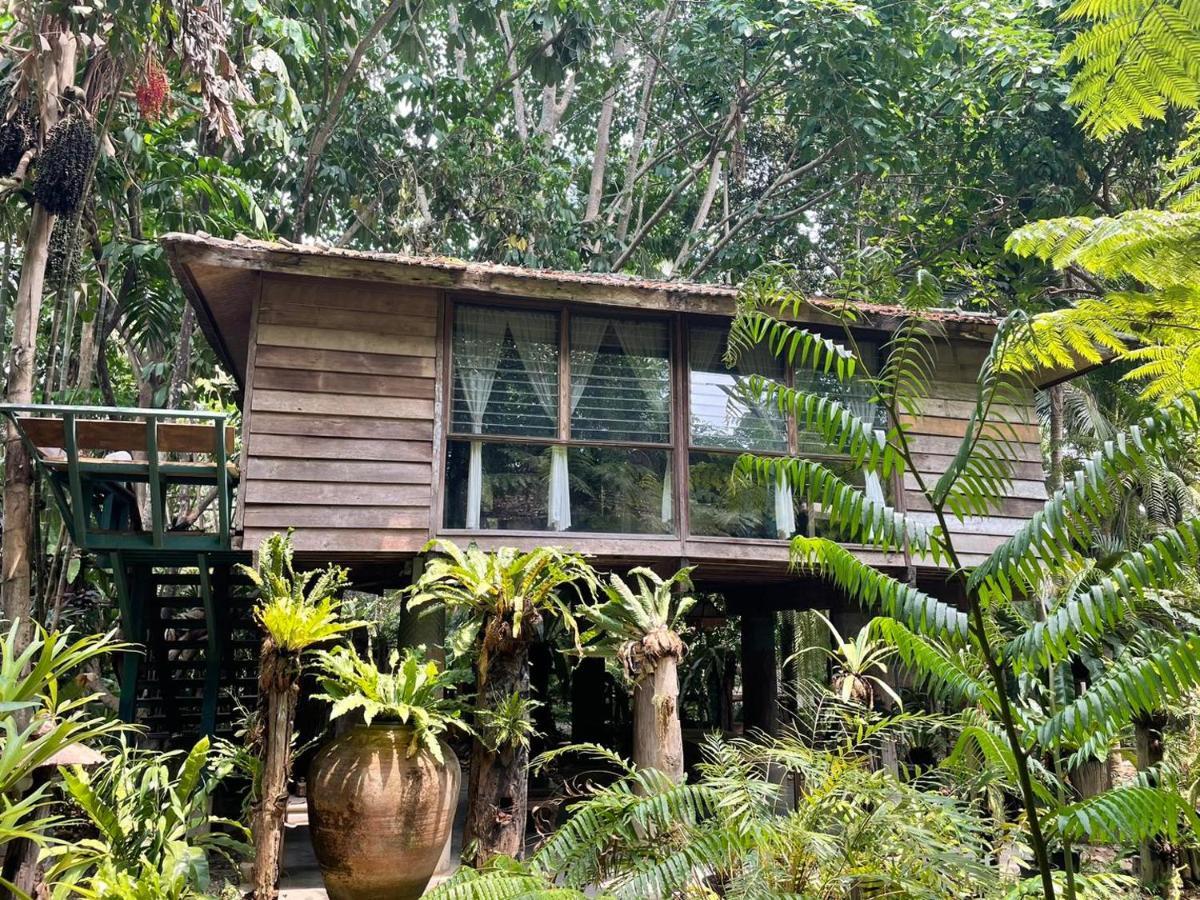 Fern Paradise Чиангмай Экстерьер фото