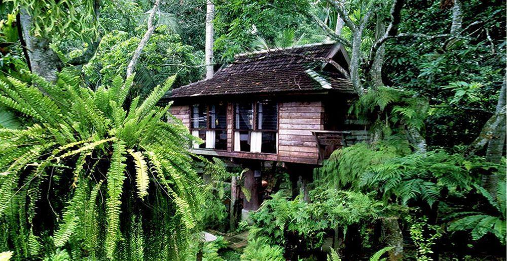 Fern Paradise Чиангмай Экстерьер фото