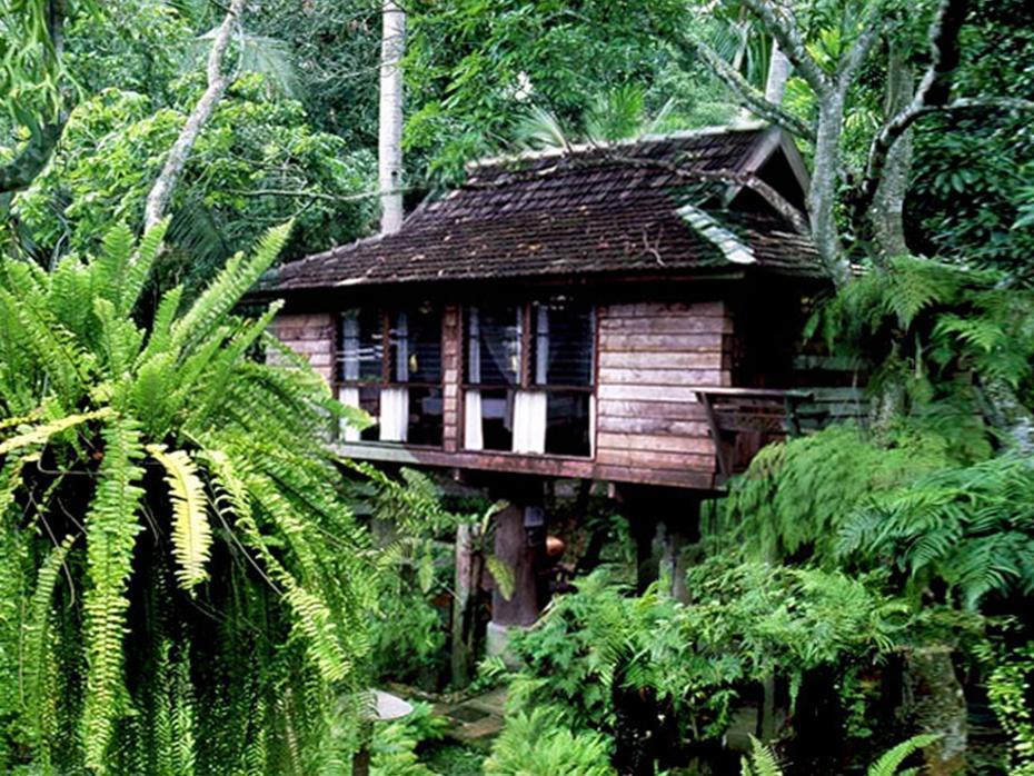 Fern Paradise Чиангмай Экстерьер фото