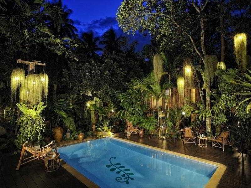Fern Paradise Чиангмай Экстерьер фото
