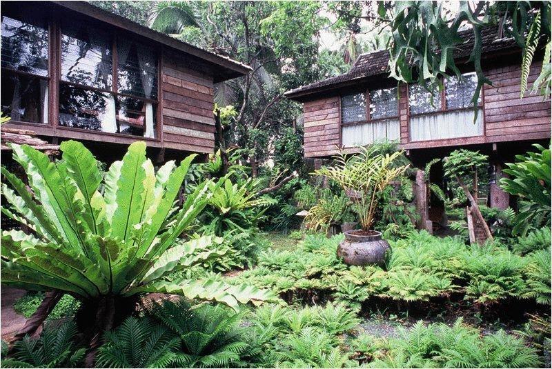 Fern Paradise Чиангмай Экстерьер фото