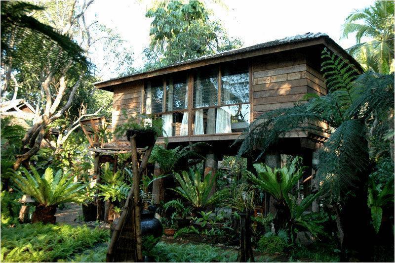 Fern Paradise Чиангмай Экстерьер фото
