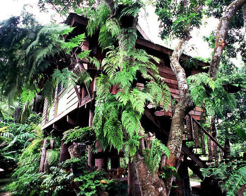 Fern Paradise Чиангмай Экстерьер фото