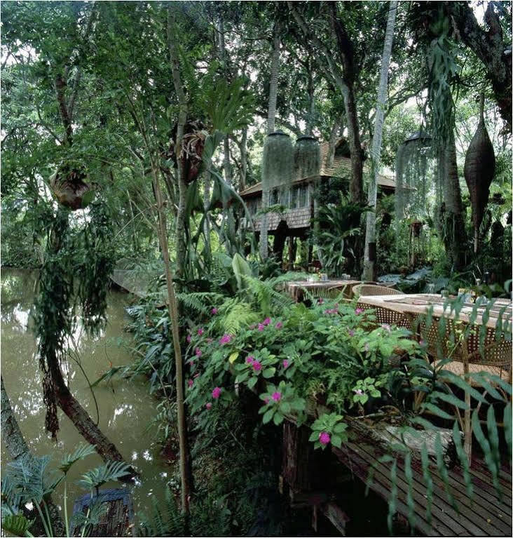 Fern Paradise Чиангмай Экстерьер фото