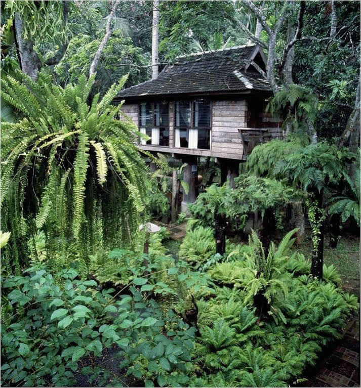 Fern Paradise Чиангмай Экстерьер фото