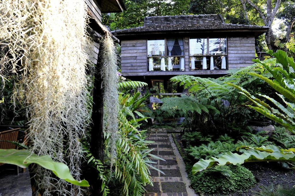 Fern Paradise Чиангмай Номер фото